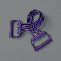Handheld Purple