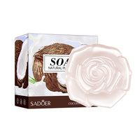 Coconut 100g