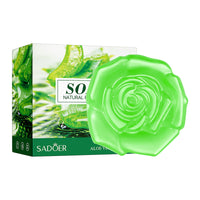 Aloe Vera 100g